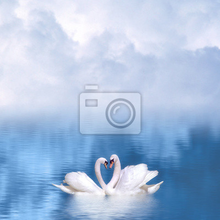 Фотообои - Белые лебеди на озере