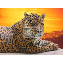 Фотообои - Леопард на закате солнца