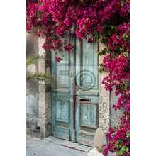 Фотообои - Старая дверь в цветах