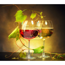 Фотообои - Бокалы вина