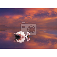 Фотообои с фламинго на закате