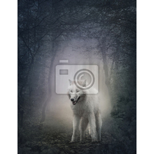 Фотообои - Белый волк