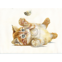 Арт-обои - Рисованный котенок