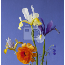 Фотообои с цветочной композицией