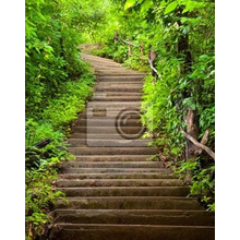 Фотообои с лестницей в лесу