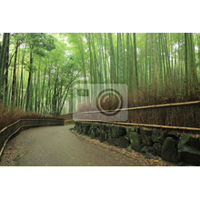 Фотообои с бамбуковой рощей в Японии