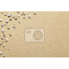 Фотообои - Ракушки на песке