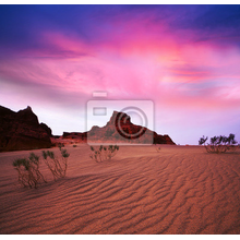 Фотообои с пустыней Гоби