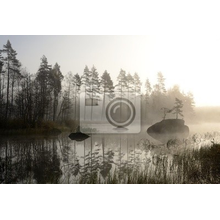 Фотообои с туманным осенним пейзажем