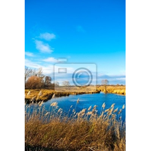 Фотообои с голубым озером и камышами