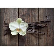 Фотообои - Орхидея и ваниль