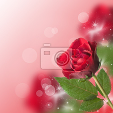 Фотообои с красной розой