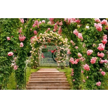 Фотообои с лестницей под аркой из роз