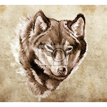 Фотообои с рисунком - Волк