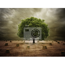 Креативные фотообои с деревом