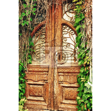 Фотообои со старинной дверью