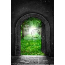 Фотообои с аркой и видом на зеленый лес
