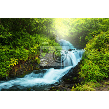 Фотообои с живописным водопадом в лесу