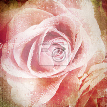 Фотообои с красивой розой