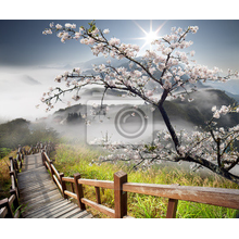 Фотообои с деревянным мостом и сакурой