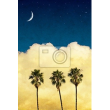 Фотообои с пальмами на фоне ночного неба