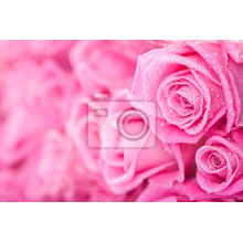 Фотообои с розовыми розами