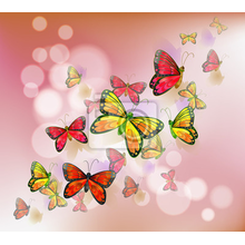 Фотообои с бабочками на розовом фоне