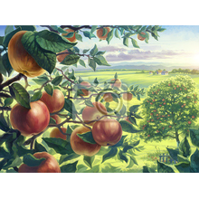Фотообои "Летний пейзаж с яблоками"
