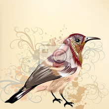 Арт-обои на стену с птицей (рисунок)
