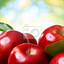 Фотообои для кухни с натюрмортом - Красные яблоки