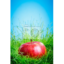 Фотообои с яблоком в траве