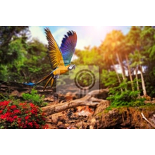Фотообои с пейзажем и красивым попугаем