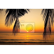 Фотообои с закатом на тропическом пляже