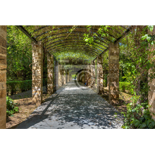 Фотообои - Великолепный арочный сад