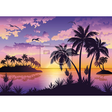 Фотообои с тропическими островами - пальмы - небо и птицы