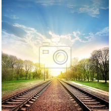 Фотообои с железной дорогой