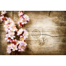 Фотообои с цветущей ветвью на деревянном фоне