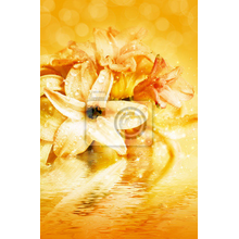 Фотообои - Желтые цветы гиацинта