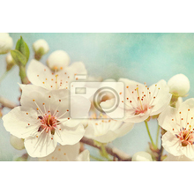 Фотообои с цветением вишни  - Ретро стиль