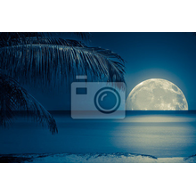 Фотообои с пейзажем - Тропическая луна