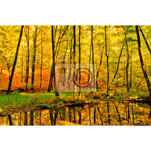 Фотообои "Осенний лес"