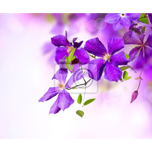 Фотообои с веточкой фиолетовых цветов