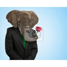 Фотообои со  слоном - креативный сюжет