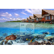 Фотообои с пейзажем на Мальдивах