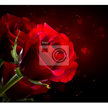 Фотообои с красными розами на темном фоне