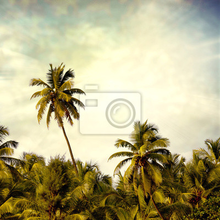 Фотообои на стену с пальмами в ретро стиле