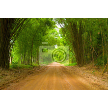 Фотообои - вид сквозь бамбуковый лес