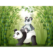 Фотообои в детскую с пандами