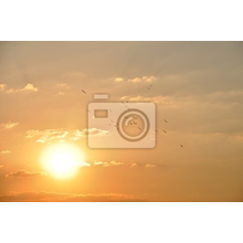 Фотообои - Солнце и небо