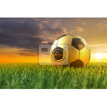 Фотообои с футбольным мячом на траве